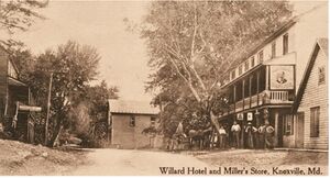 Knoxville Postcard.jpeg