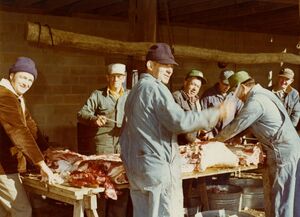 Country butchering at George Farm Circa 70s.jpg