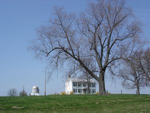 Wanderin farm on Olive School Road - April 2011.jpg