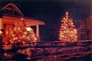Wenner's Hill Christmas Tree.jpg