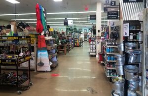 Ace Hardware, April 29, 2019 (2).jpg