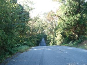 Brickyard Hill. How many have ridden sleds down here.jpg