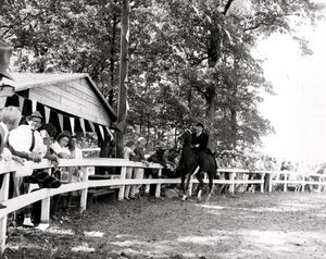 Silver Bit Riding Club at the Farmer's Woods..jpg
