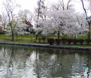 Hagerstown City Park, April 11, 2019 (6).JPG