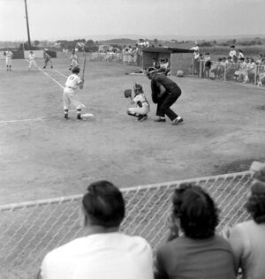 Lions -13 Corky Smith at the plate.jpg