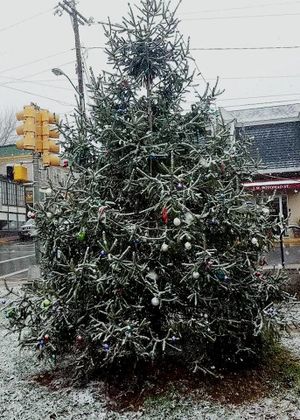 Main Street Hometown Holidays, December 9, 2017 (12).jpg