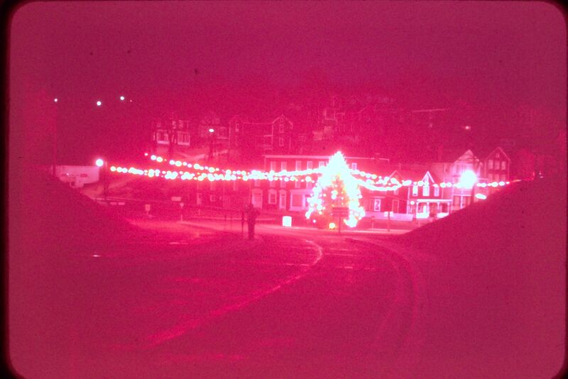 File:Town Christmas Tree Petersville Rd 1956.jpg