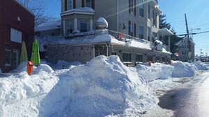 Blizzard of 2016 - Potomac Street Grill.jpg