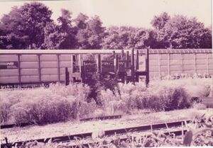 Cattle Pens in the Railroad Yard.jpg