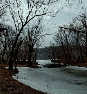 Potomac River January 10, 2018. Photo Jerry Knight (1).jpg