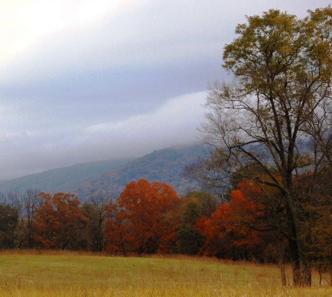 File:Murphys Farm, October 29, 2019 (11).JPG