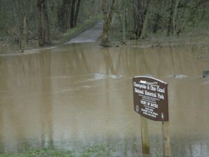 Flood of 2010 Point of Rocks Courtesy of Lila Wenner.jpg