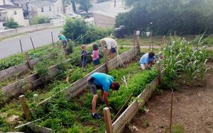 Grace Church Brunswick Food Forest Harvest 2016.jpg