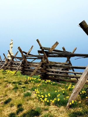 Antietam National Battlefield near Sharpesburg, MD (1).jpg