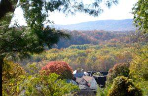 C Street hill above Brunswick's West End.jpg