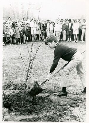 Event - Arbor Day 1970, Tommy Merriman.jpg