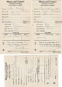 File:Statistical Survey 1935.pdf