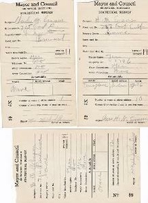File:Statistical Survey 1935.pdf