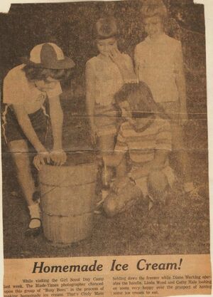 Brownie Day Camp 1959 - 1960.jpg
