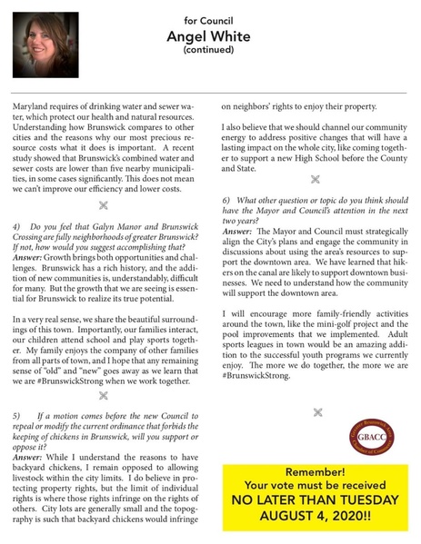File:Election 2020 City Council Angel White.pdf