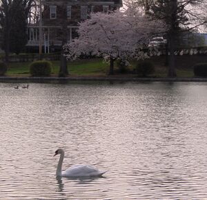 Hagerstown City Park, April 11, 2019 (7).JPG