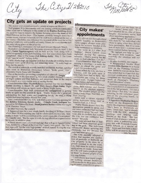 File:City Makes Appointments from The Brunswick Citizen, July 29, 2010.pdf