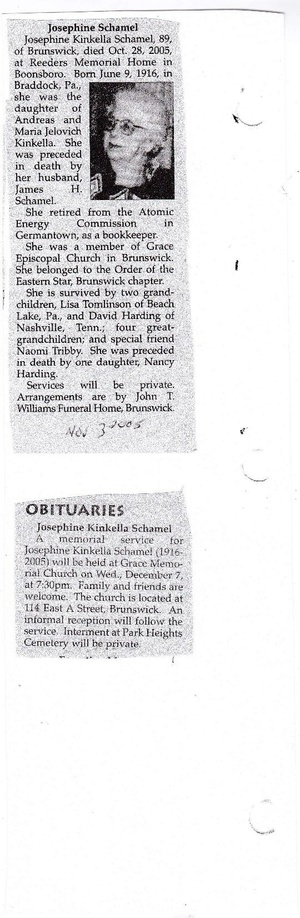 Schamel, Josephine.pdf