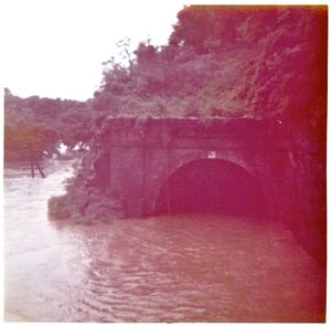 Flood of 1972 The Point of Rocks railroad tunnel.jpg