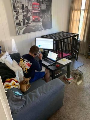 Pandemic 2020 Teleworking in the age of Pandemic April 2020.jpg