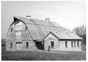 Cattle and milk barns on the Wenner farm.jpg