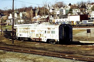 Columbian domes in the yard at Brunswick, MD.jpg