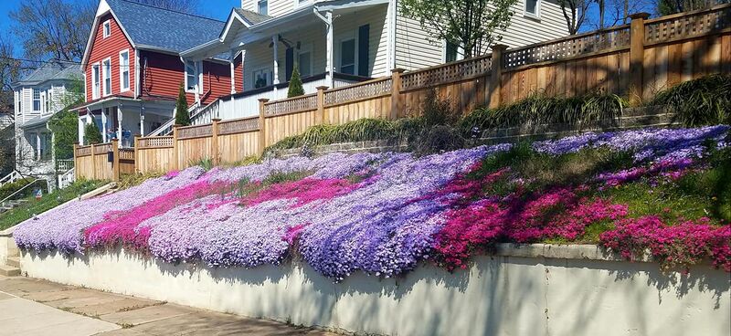 File:A Street in Brunswick, April 3, 2020.jpg
