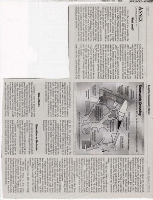 Anx What next 2002.pdf