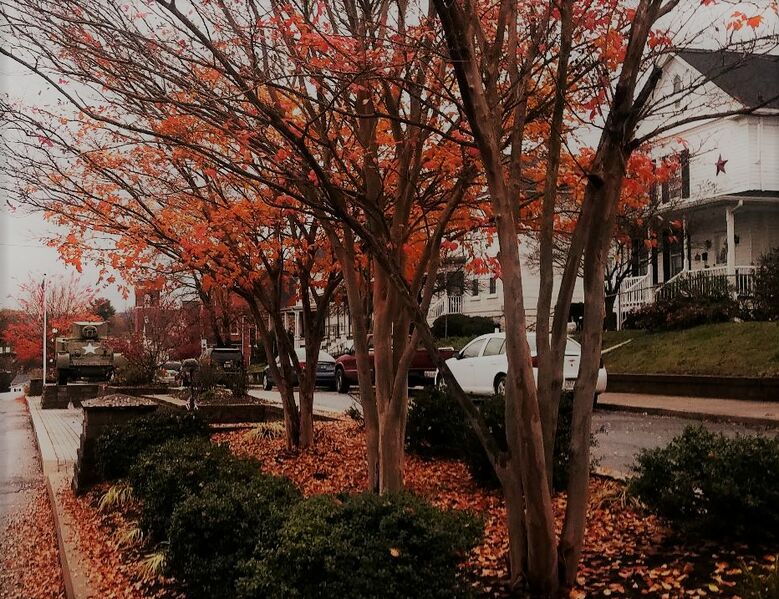 File:Veterans Park on A Street, November 12, 2020 (2).jpg