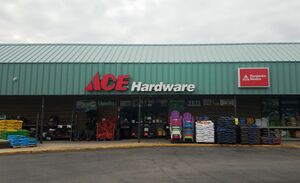 Ace Hardware, April 29, 2019 (1).jpg