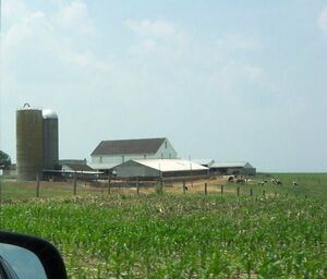 From Barns of Frederick County (2).jpg