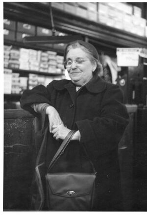 Kaplon's shopper once upon a time..jpg