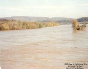 Flood of 1985 on the Potomac River.jpg