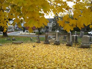 Berlin Cemetery in Autumn, November 2010. Photo Jerry Knight.JPG