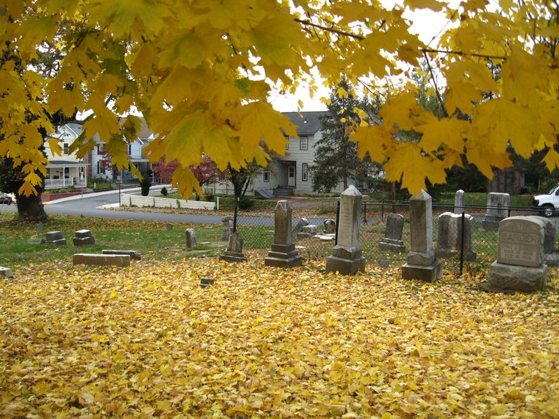 File:Berlin Cemetery in Autumn, November 2010. Photo Jerry Knight.JPG