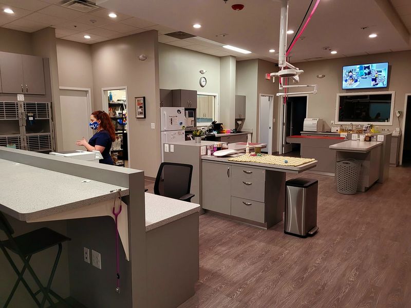 File:Brunswick Crossing Animal Hospital Open House, June 5, 2021 (3).jpg