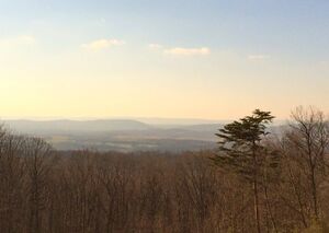 Potomac Water Gap from atop Sugarloaf Mountain.jpg