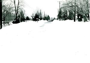 Snow Rosemont, most likely in the early 1950s.jpg