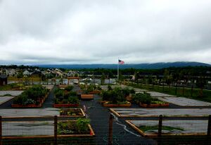 Brunswick Crossing Community Garden, August 1, 2018.jpg