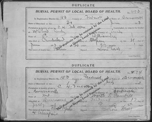 Burial Permits 06-30-1913 - 08-21-1916.pdf