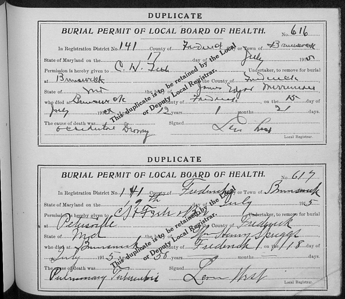 File:Burial Permits 06-30-1913 - 08-21-1916.pdf