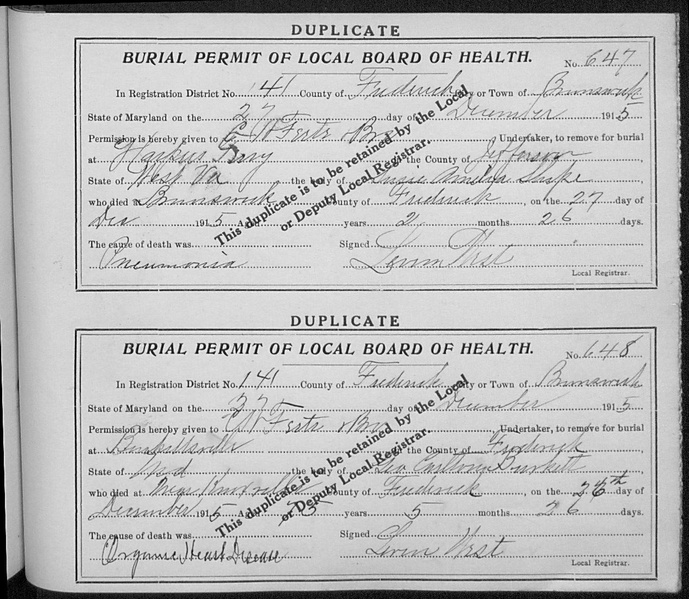 File:Burial Permits 06-30-1913 - 08-21-1916.pdf