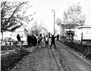 Shady Lane in Petersville - Circa '60s.jpg