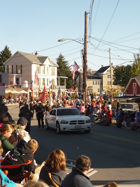 File:Veterans Day Parade 2015, November 2015.JPG