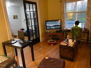 Pandemic 2020 Working from Home April 2020.jpg